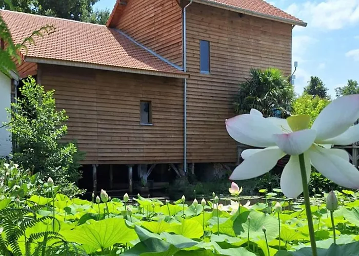 مكان تخييم Accueillant Avec Terrasse A - Api-1-52-706 سان جوليان-أون-بورن